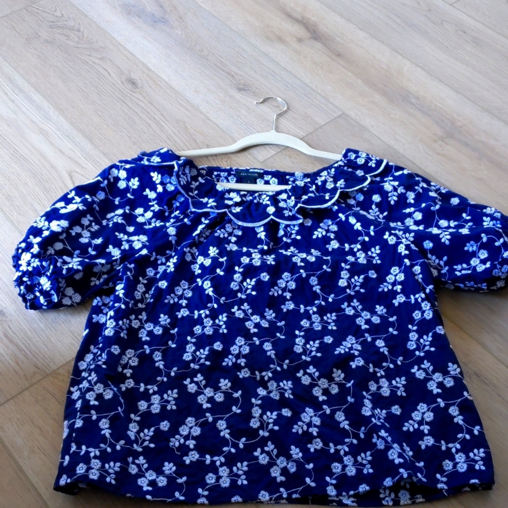 Ann Taylor ruffled blouse